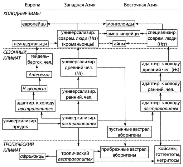 Иллюстрация к книге — Эректус бродит между нами. Покорение белой расы [p245.jpg]