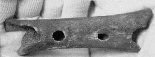 Иллюстрация к книге — Эректус бродит между нами. Покорение белой расы [p251.jpg]