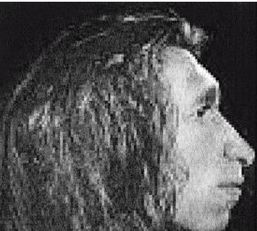 Иллюстрация к книге — Эректус бродит между нами. Покорение белой расы [p257.jpg]