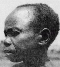 Иллюстрация к книге — Эректус бродит между нами. Покорение белой расы [p258.jpg]