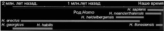 Иллюстрация к книге — Эректус бродит между нами. Покорение белой расы [p29.jpg]