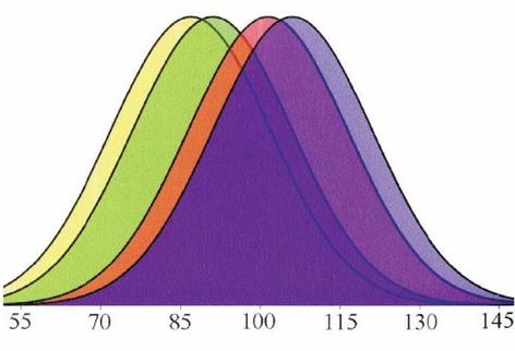 Иллюстрация к книге — Эректус бродит между нами. Покорение белой расы [p291.jpg]