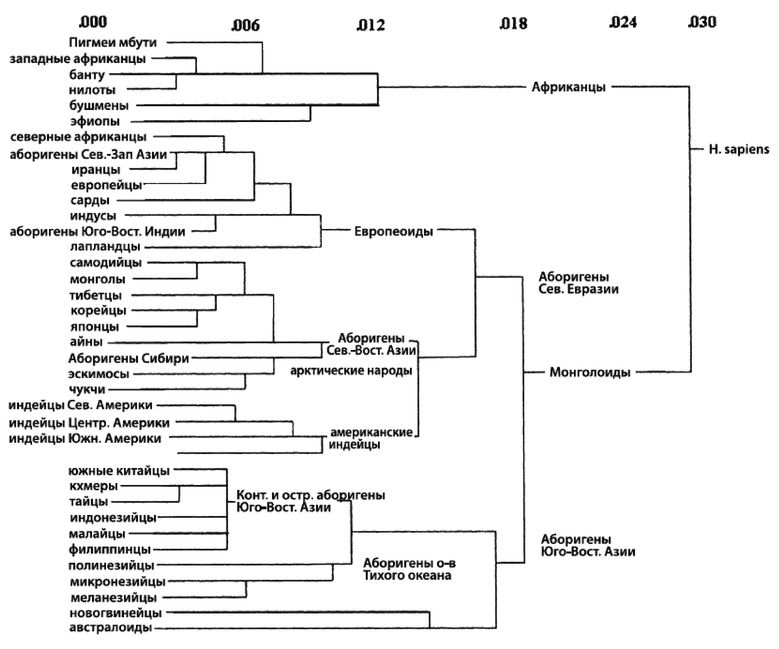 Иллюстрация к книге — Эректус бродит между нами. Покорение белой расы [p72.jpg]