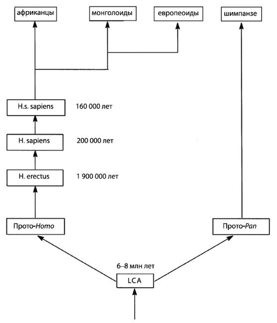 Иллюстрация к книге — Эректус бродит между нами. Покорение белой расы [piii1.jpg]