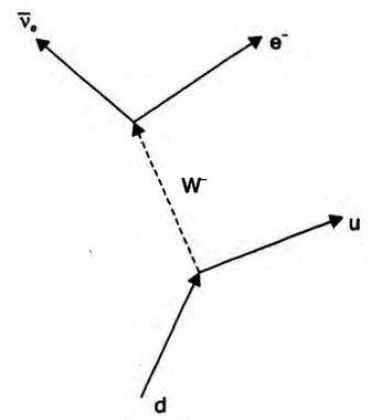 Иллюстрация к книге — Бог и Мультивселенная. Расширенное понятие космоса [i_035.jpg]