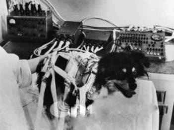 Иллюстрация к книге — Тайны военной космонавтики [i_031.jpg]