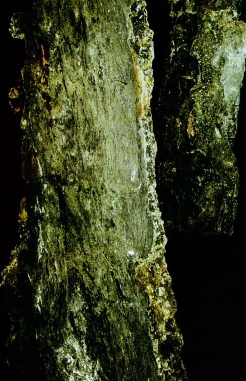 Иллюстрация к книге — История всего. 14 миллиардов лет космической эволюции [i_038.jpg]