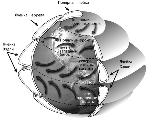 Иллюстрация к книге — Происхождение всего. От Большого взрыва до человеческой цивилизации [_10.jpg]