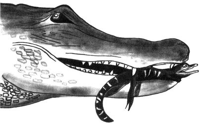 Иллюстрация к книге — Истоки морали. В поисках человеческого у приматов [i_002.jpg]