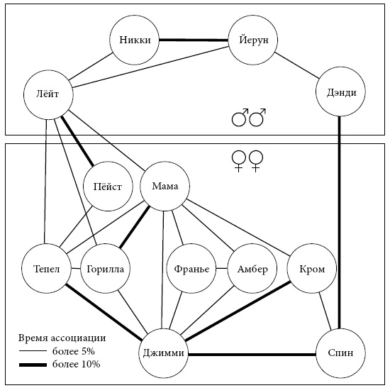 Иллюстрация к книге — Политика у шимпанзе. Власть и секс у приматов [i_050.jpg]