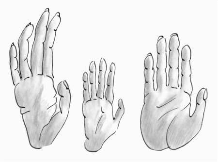 Иллюстрация к книге — Достаточно ли мы умны, чтобы судить об уме животных? [i_001.jpg]