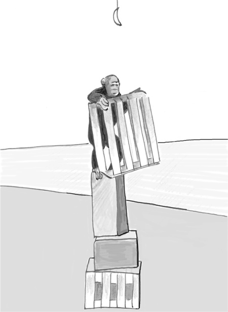 Иллюстрация к книге — Достаточно ли мы умны, чтобы судить об уме животных? [i_010.jpg]