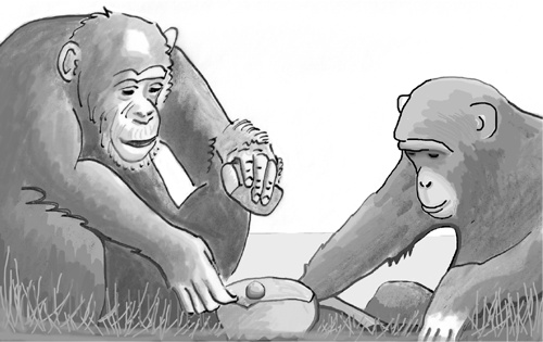 Иллюстрация к книге — Достаточно ли мы умны, чтобы судить об уме животных? [i_013.jpg]