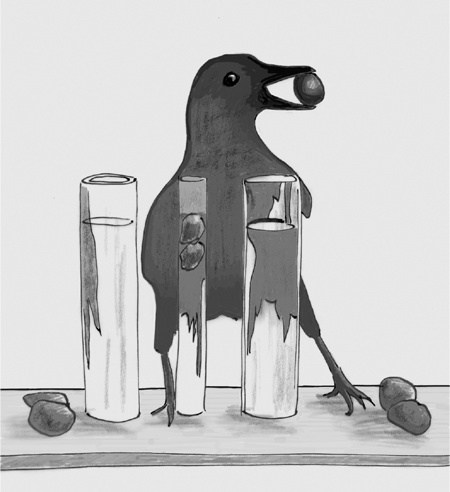 Иллюстрация к книге — Достаточно ли мы умны, чтобы судить об уме животных? [i_015.jpg]