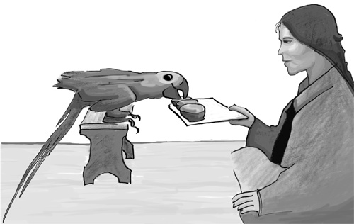 Иллюстрация к книге — Достаточно ли мы умны, чтобы судить об уме животных? [i_016.jpg]