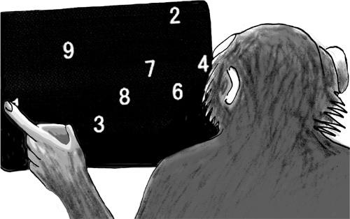 Иллюстрация к книге — Достаточно ли мы умны, чтобы судить об уме животных? [i_018.jpg]