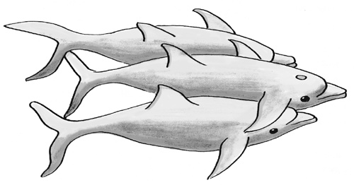 Иллюстрация к книге — Достаточно ли мы умны, чтобы судить об уме животных? [i_019.jpg]