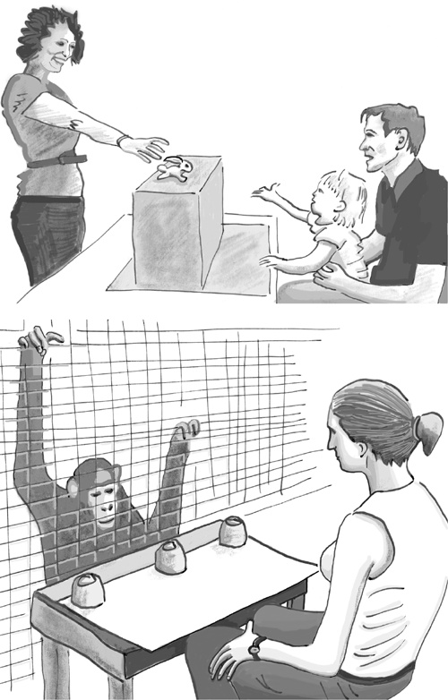 Иллюстрация к книге — Достаточно ли мы умны, чтобы судить об уме животных? [i_020.jpg]