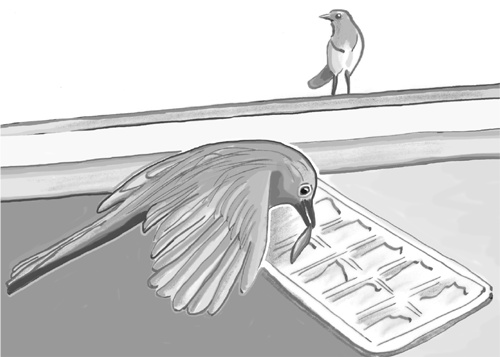 Иллюстрация к книге — Достаточно ли мы умны, чтобы судить об уме животных? [i_021.jpg]