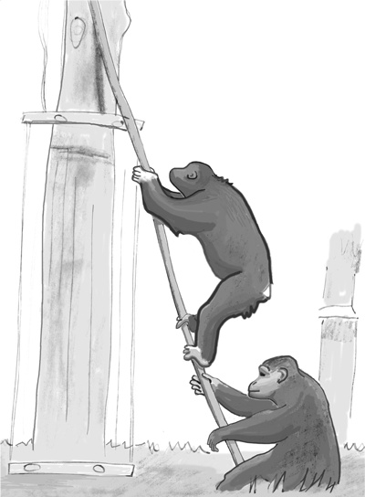 Иллюстрация к книге — Достаточно ли мы умны, чтобы судить об уме животных? [i_023.jpg]