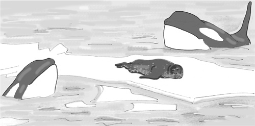 Иллюстрация к книге — Достаточно ли мы умны, чтобы судить об уме животных? [i_024.jpg]