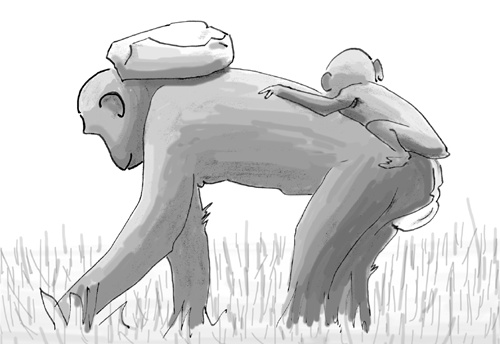 Иллюстрация к книге — Достаточно ли мы умны, чтобы судить об уме животных? [i_026.jpg]