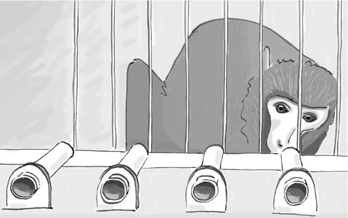 Иллюстрация к книге — Достаточно ли мы умны, чтобы судить об уме животных? [i_027.jpg]