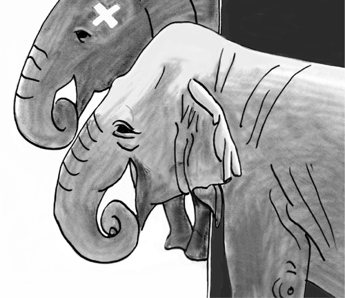 Иллюстрация к книге — Достаточно ли мы умны, чтобы судить об уме животных? [i_028.jpg]