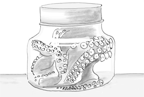 Иллюстрация к книге — Достаточно ли мы умны, чтобы судить об уме животных? [i_030.jpg]