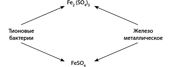Иллюстрация к книге — Популярно о микробиологии [i_004.jpg]