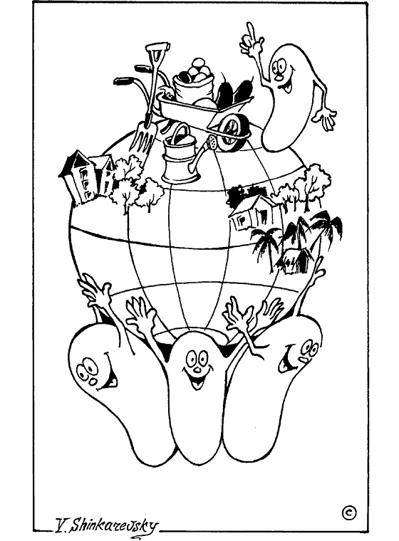 Иллюстрация к книге — Популярно о микробиологии [i_026.jpg]