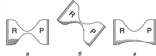 Иллюстрация к книге — Жизнь на грани. Ваша первая книга о квантовой биологии [i_004.jpg]