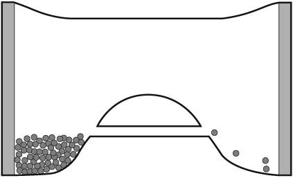 Иллюстрация к книге — Жизнь на грани. Ваша первая книга о квантовой биологии [i_007.jpg]