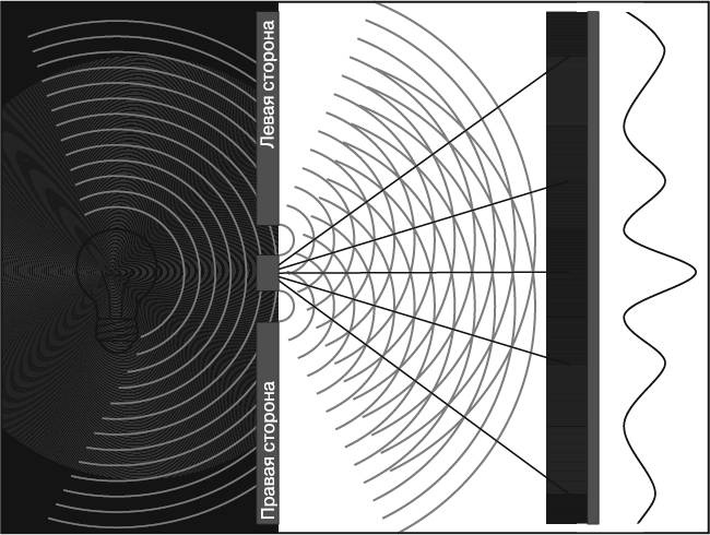 Иллюстрация к книге — Жизнь на грани. Ваша первая книга о квантовой биологии [i_008.jpg]