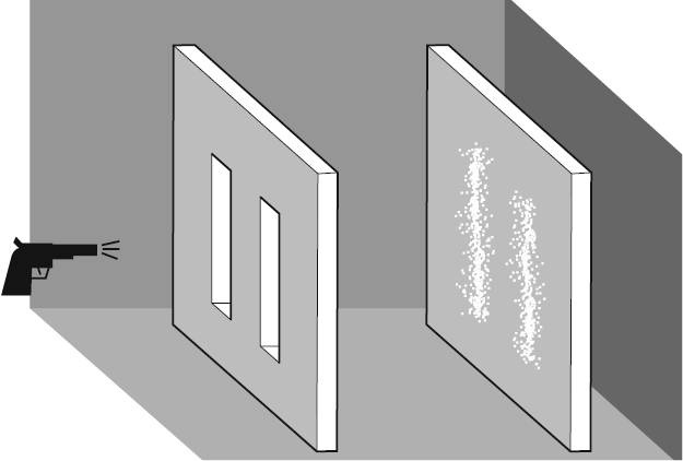 Иллюстрация к книге — Жизнь на грани. Ваша первая книга о квантовой биологии [i_010.jpg]