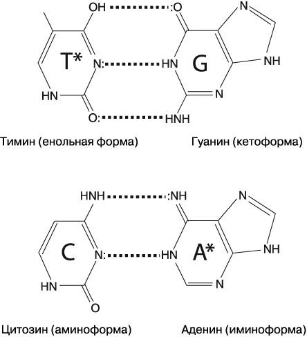 Иллюстрация к книге — Жизнь на грани. Ваша первая книга о квантовой биологии [i_024.jpg]