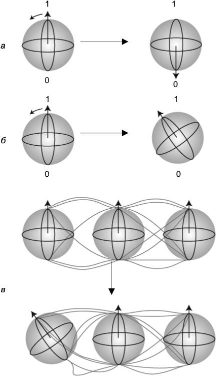 Иллюстрация к книге — Жизнь на грани. Ваша первая книга о квантовой биологии [i_029.jpg]