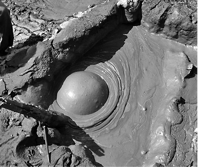 Иллюстрация к книге — Жизнь на грани. Ваша первая книга о квантовой биологии [i_032.jpg]