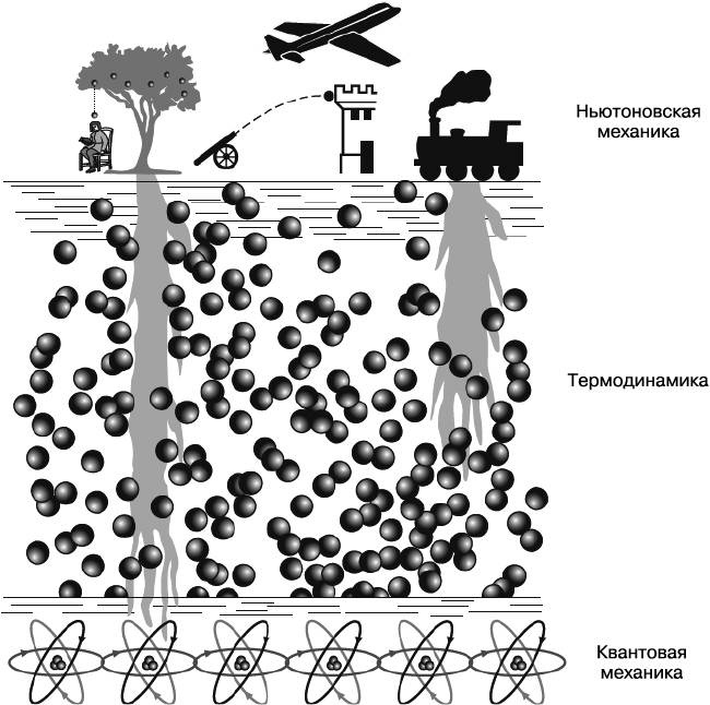 Иллюстрация к книге — Жизнь на грани. Ваша первая книга о квантовой биологии [i_033.jpg]