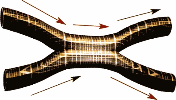 Иллюстрация к книге — Мир в ореховой скорлупке [i_053.jpg]