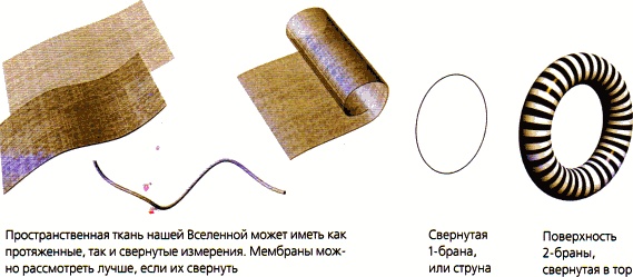 Иллюстрация к книге — Мир в ореховой скорлупке [i_055.jpg]