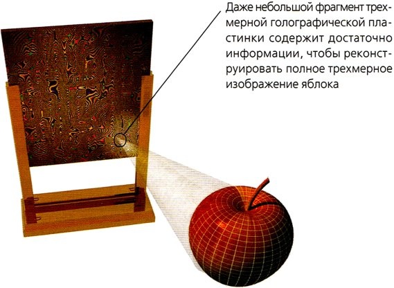 Иллюстрация к книге — Мир в ореховой скорлупке [i_065.jpg]