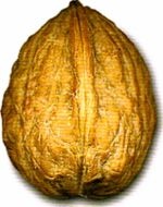 Иллюстрация к книге — Мир в ореховой скорлупке [i_067.jpg]