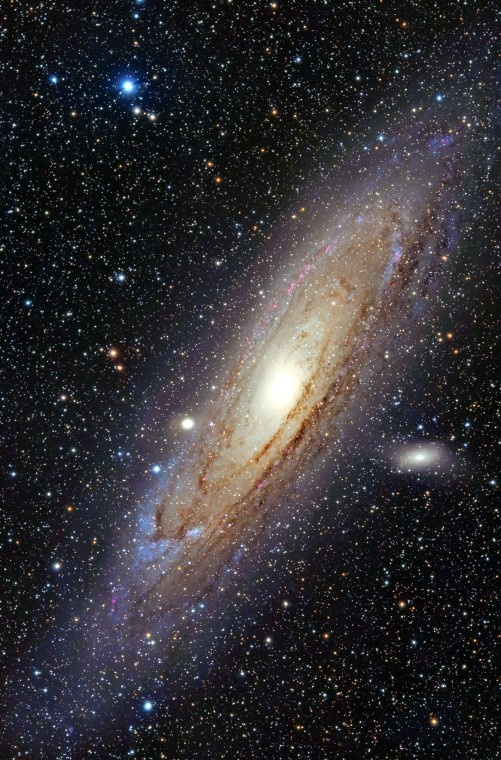 Иллюстрация к книге — Мир в ореховой скорлупке [i_074.jpg]