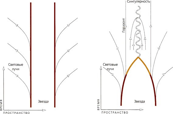 Иллюстрация к книге — Мир в ореховой скорлупке [i_121.jpg]