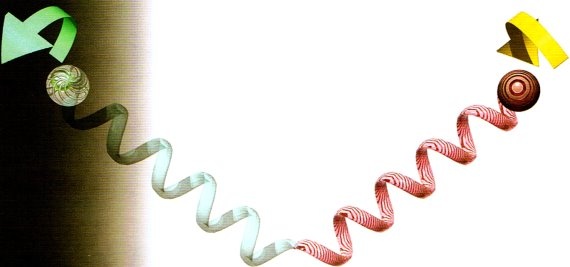 Иллюстрация к книге — Мир в ореховой скорлупке [i_133.jpg]