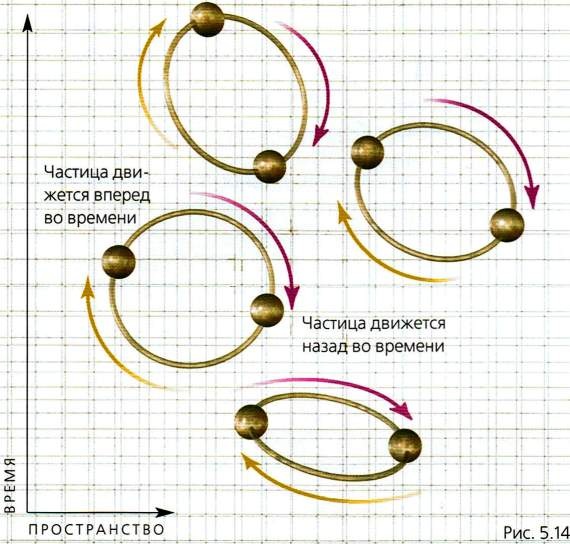 Иллюстрация к книге — Мир в ореховой скорлупке [i_157.jpg]