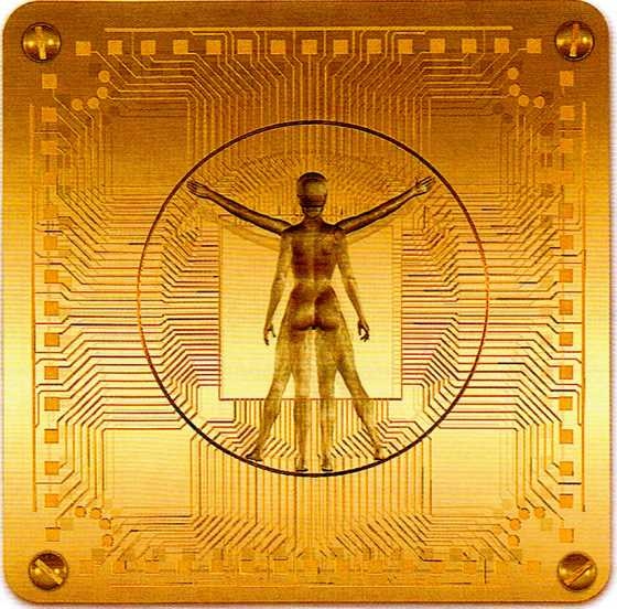 Иллюстрация к книге — Мир в ореховой скорлупке [i_163.jpg]