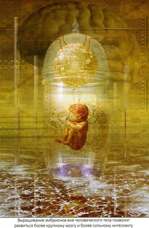 Иллюстрация к книге — Мир в ореховой скорлупке [i_173.jpg]