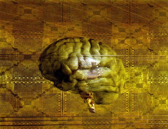 Иллюстрация к книге — Мир в ореховой скорлупке [i_175.jpg]